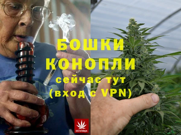альфа пвп Гусев