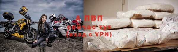 альфа пвп Гусев