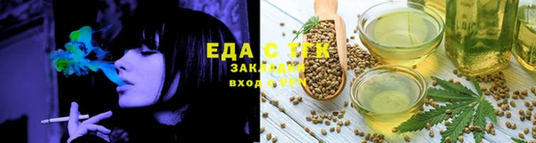 амф Гусь-Хрустальный