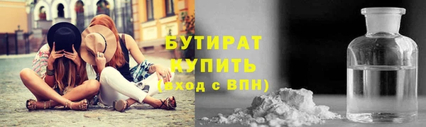амф Гусь-Хрустальный