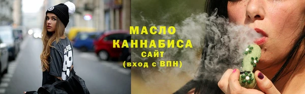 амф Гусь-Хрустальный