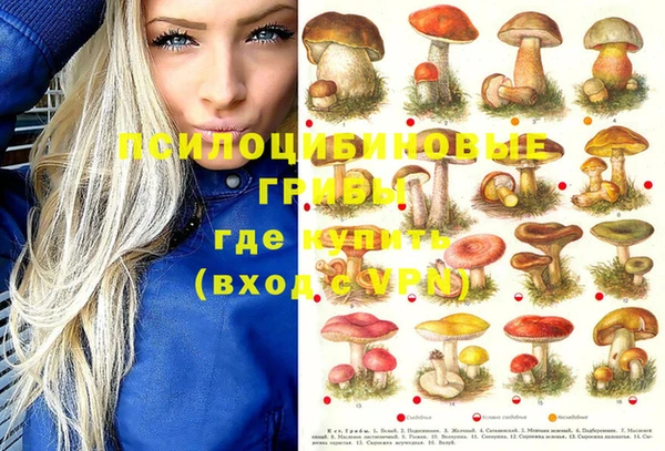 ALPHA-PVP Гусиноозёрск