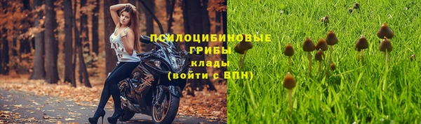альфа пвп Гусев