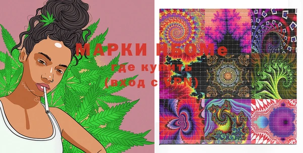 амф Гусь-Хрустальный