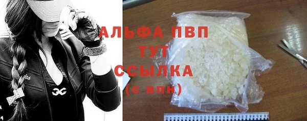 амф Гусь-Хрустальный