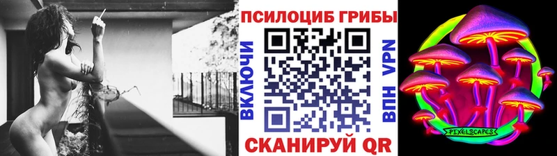 хочу наркоту  Зубцов  Галлюциногенные грибы мицелий 